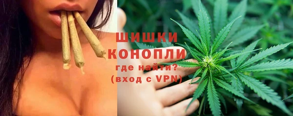 гашик Верхний Тагил