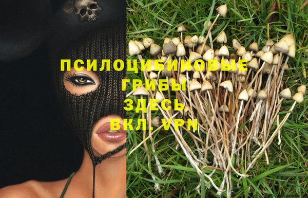 мескалин Верея