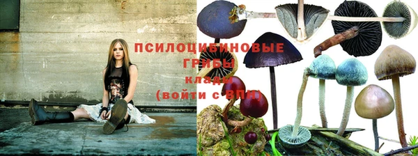 мескалин Верея