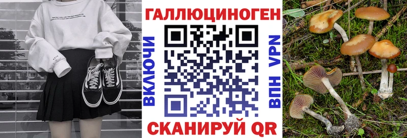ОМГ ОМГ ссылка  где купить наркоту  Можайск  Псилоцибиновые грибы Magic Shrooms 