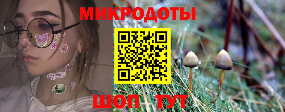 Псилоцибиновые грибы Psilocybe Можайск