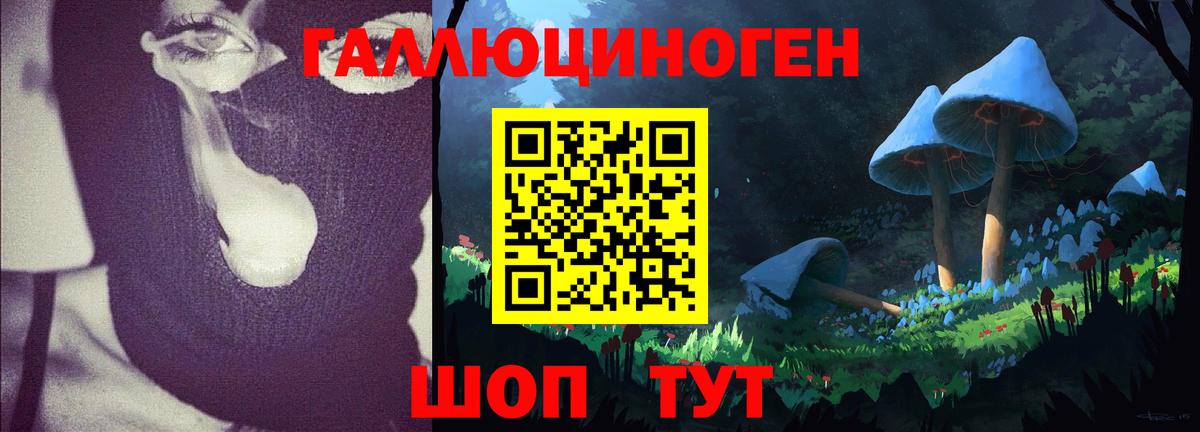 Можайск  где купить   Вход с VPN  Псилоцибиновые грибы Magic Shrooms 